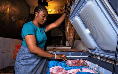 Naija on Ice: How Koolboks is Transforming Nigerian Fish Markets